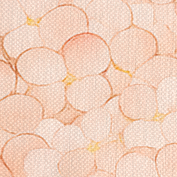 Individual Golden Bloom: Pink Hydrangeas - imagen 4